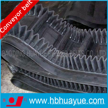 China Well-Known Trademark Huayue Industrial Conveyor Belt Strength 100-5400n/mm